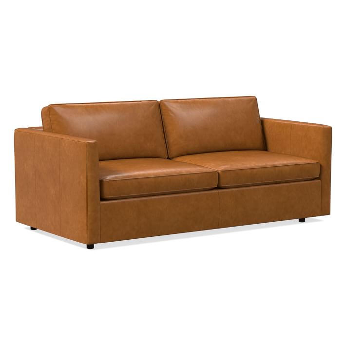 Harris Sleeper Sofa Vegan Leather, Vegan Leather Couch