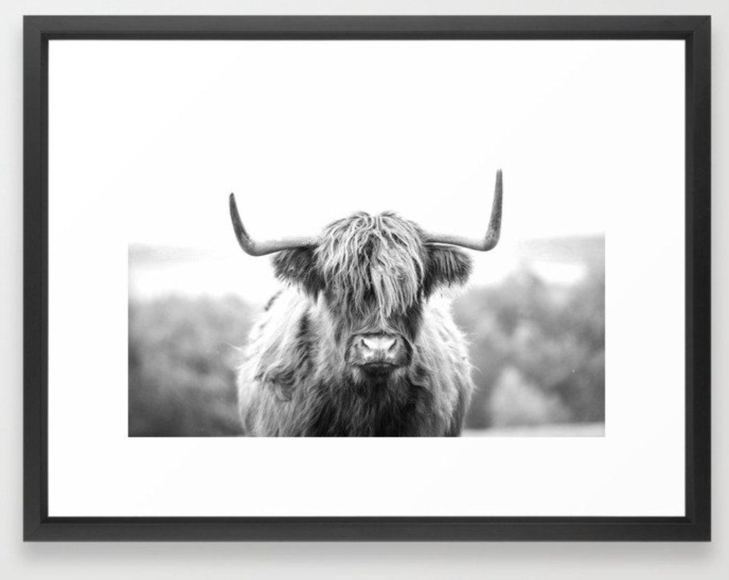 Majestic Highland Cow in a Field Framed Art Print