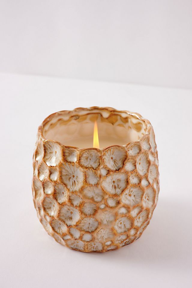 Honeycomb Textured Glass Candle By Anthropologie in Gold Size S