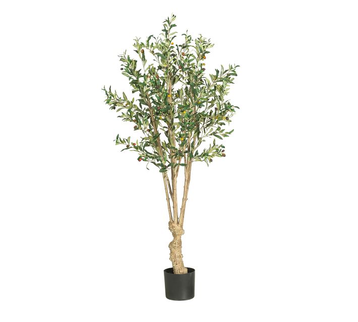 Faux Olive Tree, 5' Pottery Barn Havenly