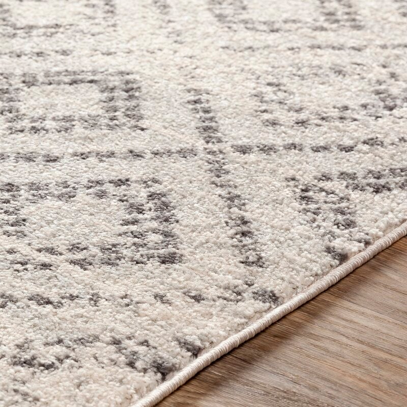 Area Rug Wayfair Havenly, Grey And White Area Rugs