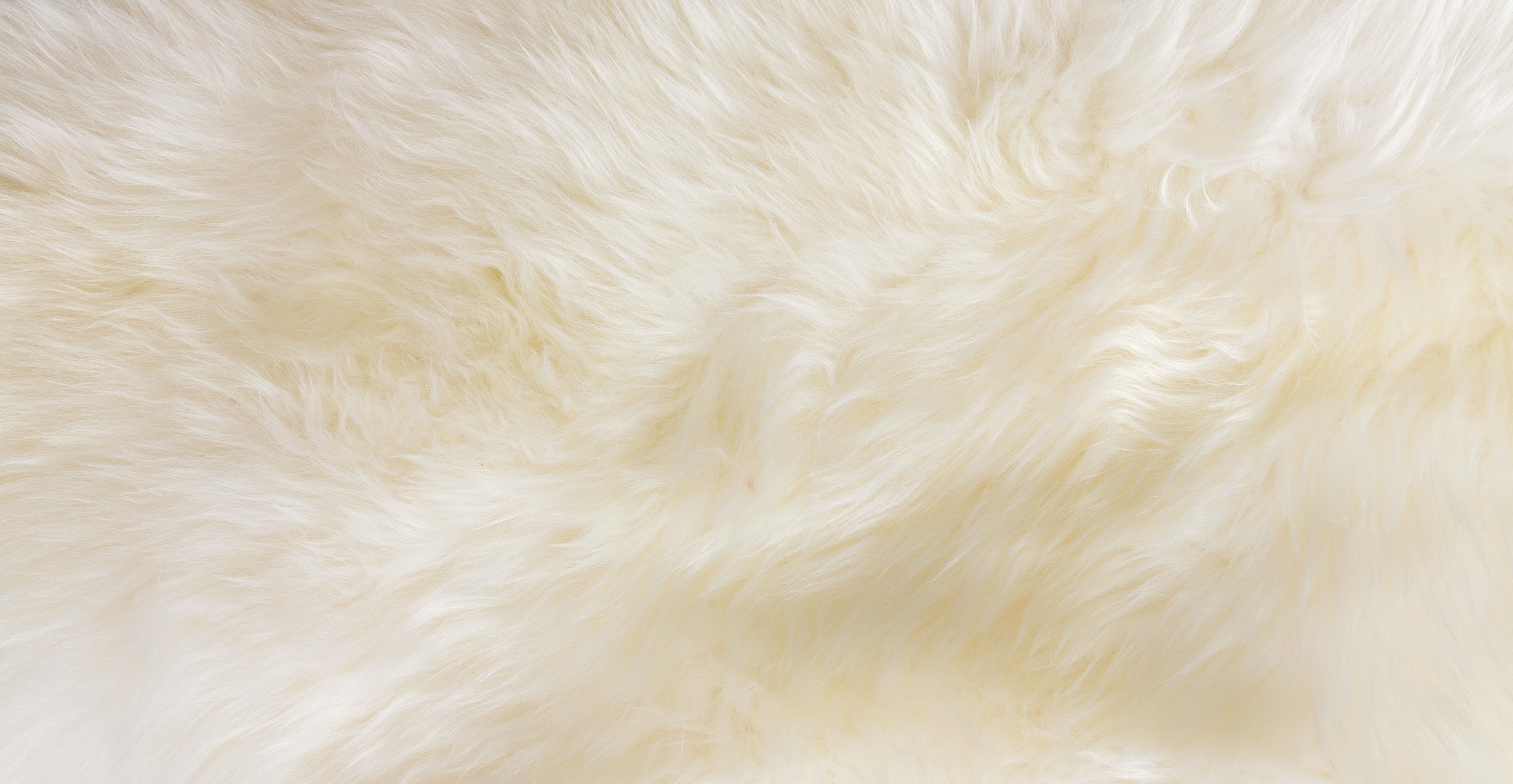 Ivory Sheepskin Seat Pads | Article Lanna Contemporary Accessories