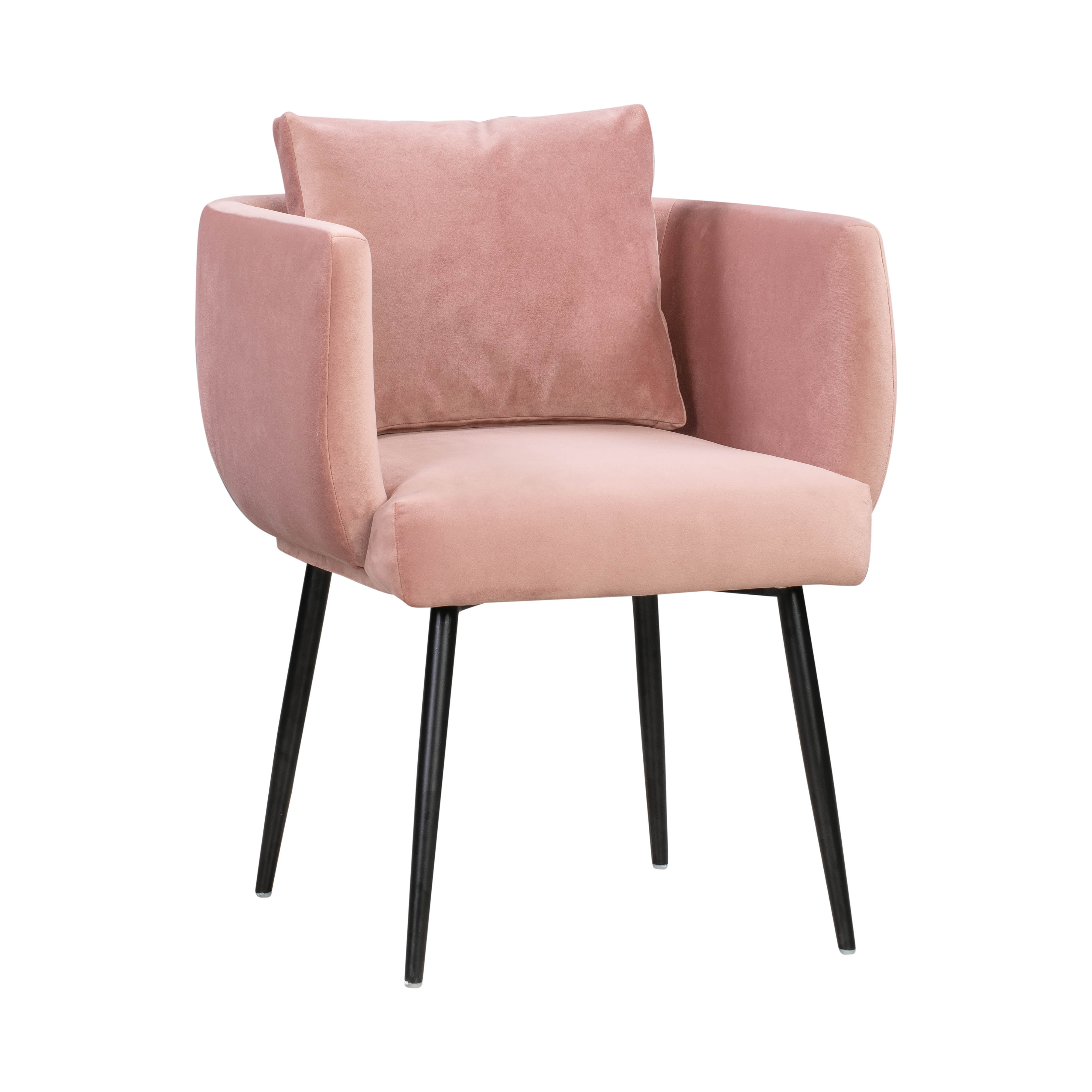 Alicia Blush Velvet Chair - Maren Home | Havenly