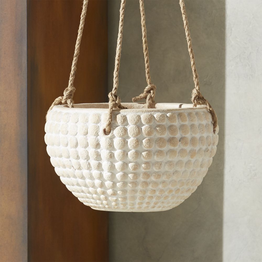 Zola Medium Hanging Planter CB2 Havenly