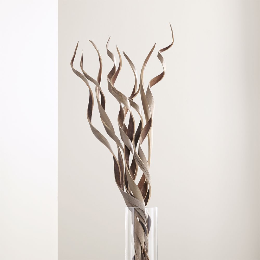 Sumbawa Grass Dried Botanicals Crate and Barrel Havenly