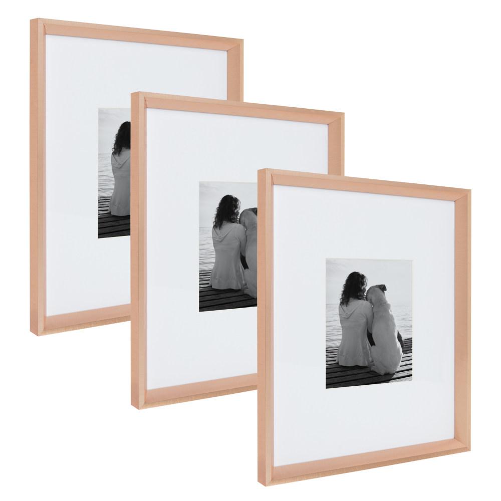 Calter 16x20 matted to 8x10 Rose Gold Picture Frame (Set of 3) - Home Depot