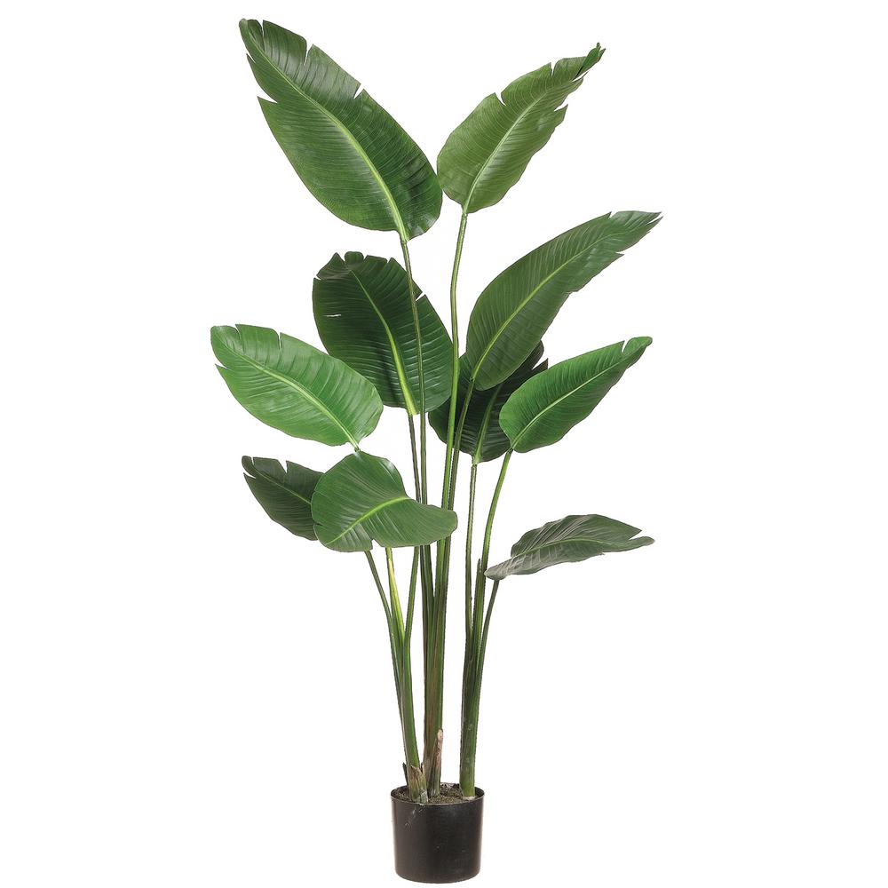ALLSTATE FLORAL 5 ft. Bird of Paradise Plant in Plastic
