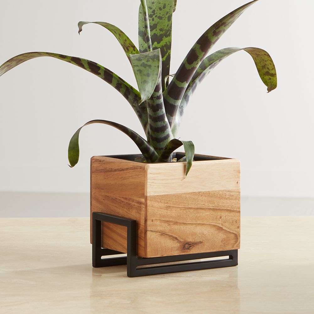 small tabletop planter