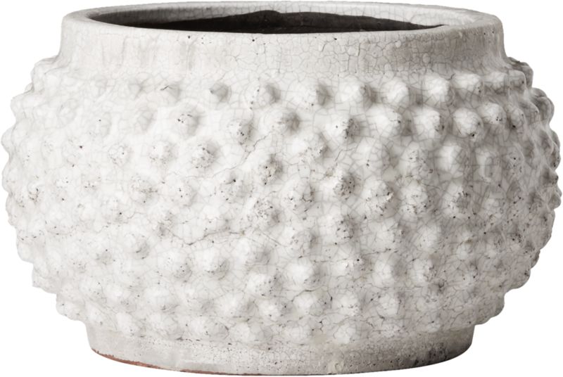 Hayes Large Planter CB2 Havenly