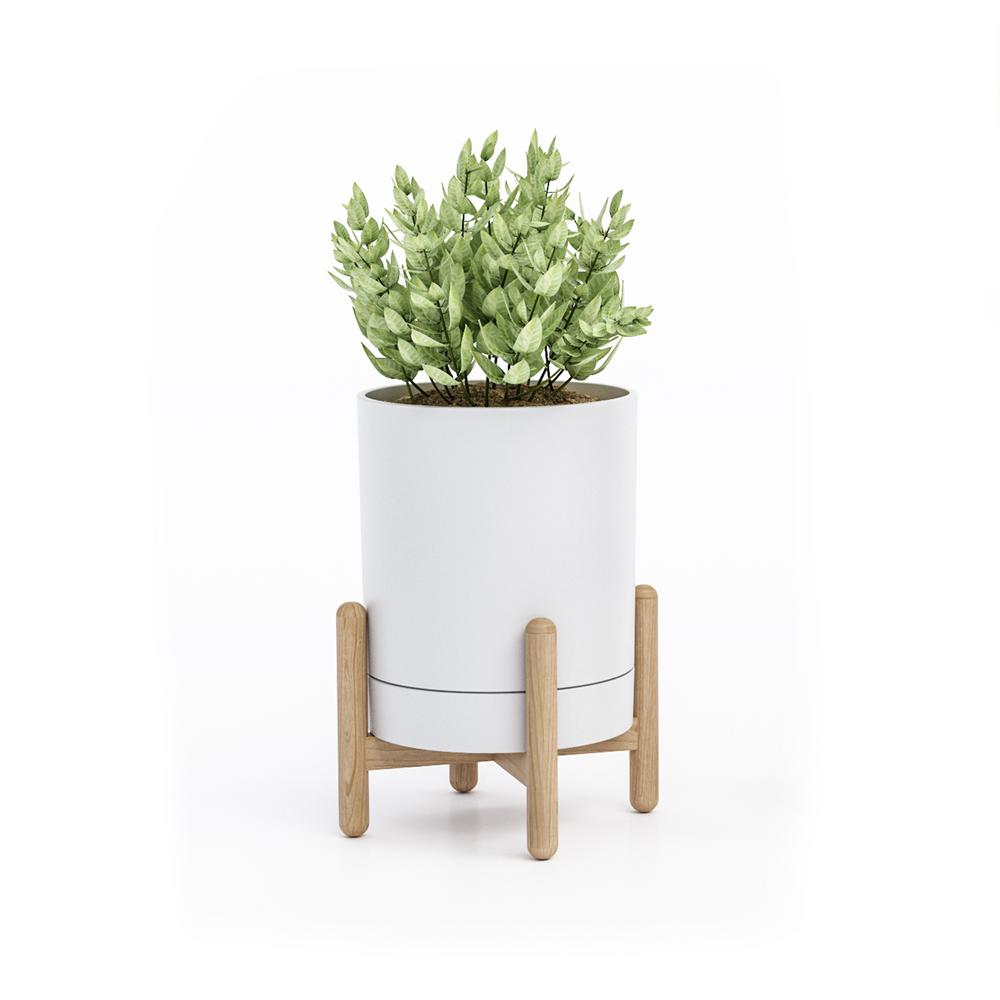 Blythe White/Natural Tabletop Plant Stand Home Depot Havenly