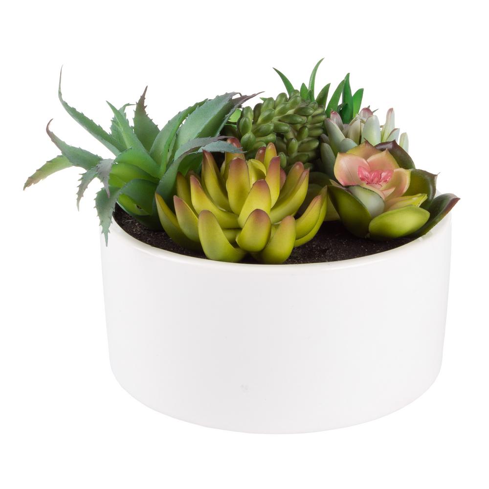 Pure Garden 6 in. Artificial Succulent Plant Arrangement in White