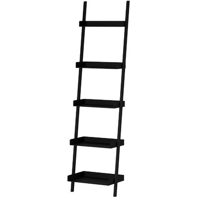 Saniyah ladder store bookcase