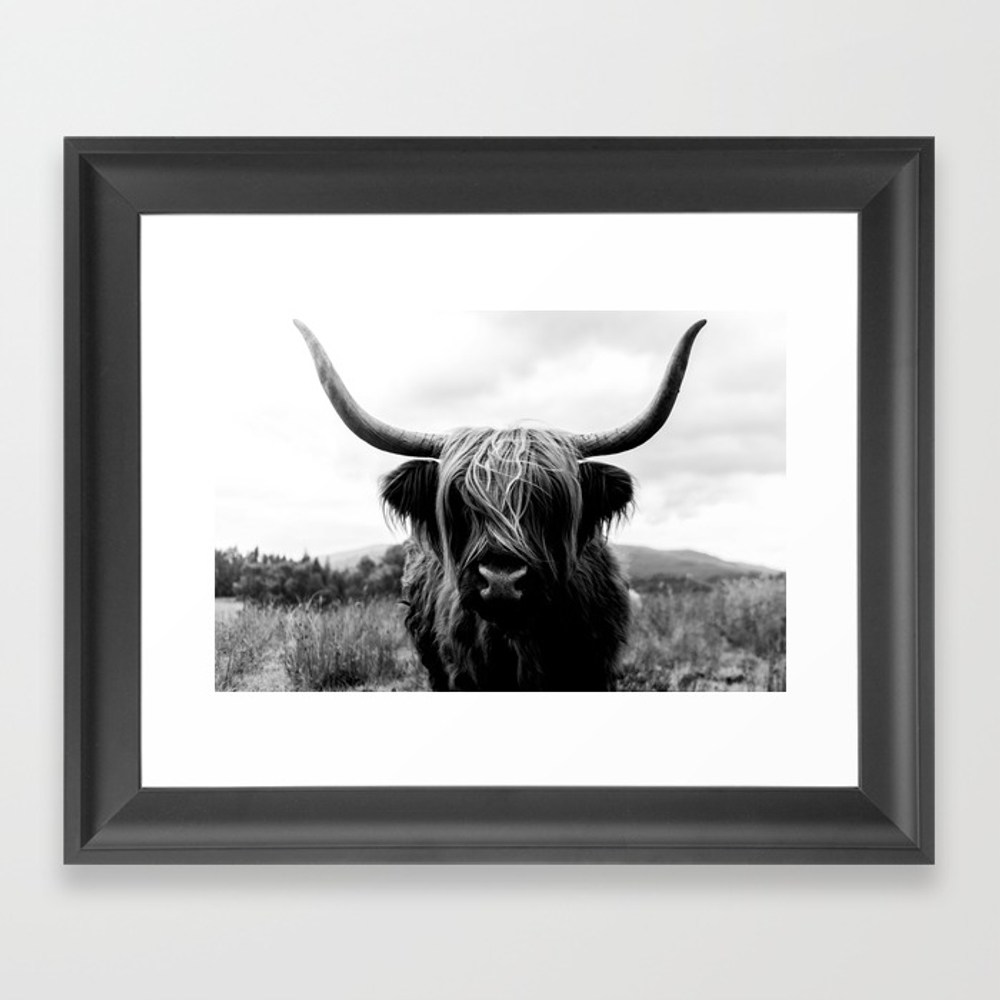 Scottish Highland Cattle Black And White Animal Framed Art Print