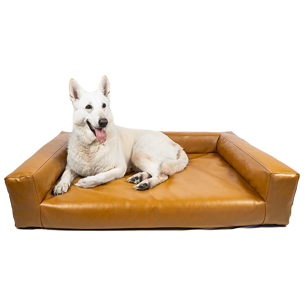 West elm outlet dog bed