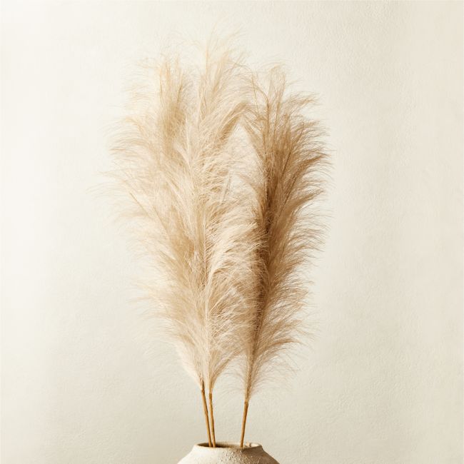 Faux Pampas Grass Taupe Stem Set Of 3 Cb2 Havenly