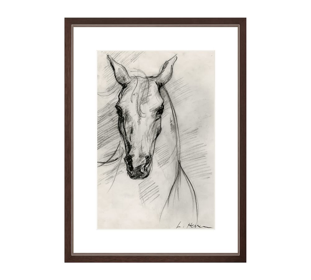 Horse Study Wood Dark Walnut Frame 2.5 Mat, 13x19 Opening, 18x24 ...