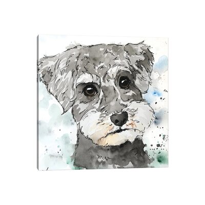 Schnoodle by Allison Gray - Wrapped Canvas Painting Print - Wayfair ...