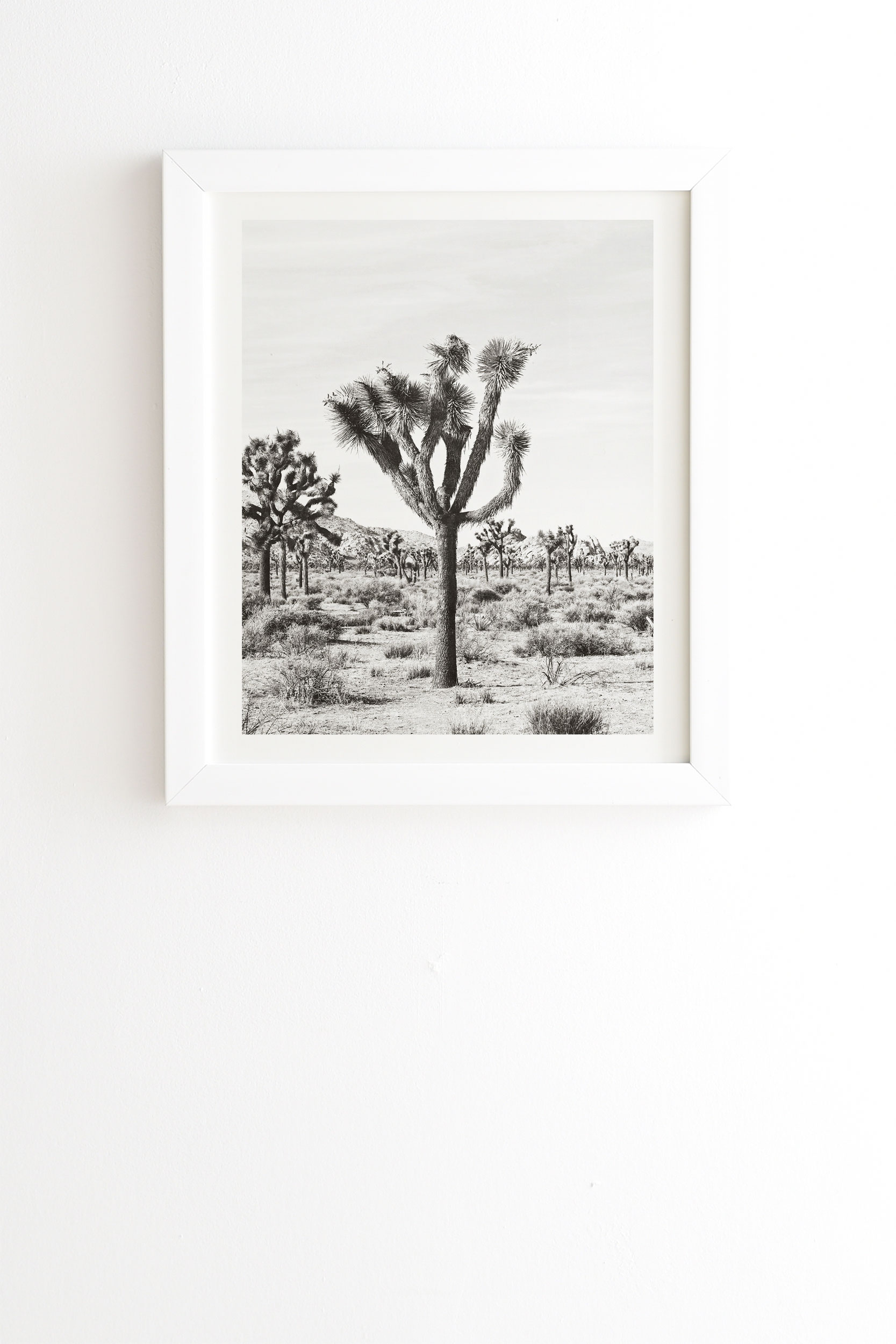 Joshua Trees by Bree Madden - Framed Wall Art Basic White 20