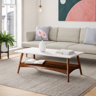 burnes coffee table with storage