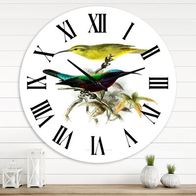 Vintage Australian Birds XV - Traditional Wall Clock - Wayfair | Havenly