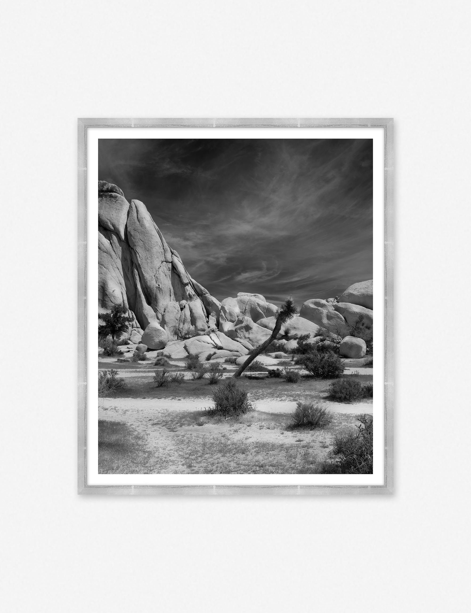 Joshua Tree Photography Print Lulu And Georgia Havenly 