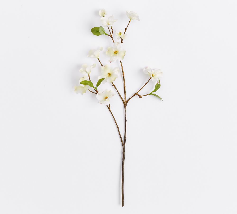 Faux Dogwood Stem, White - Pottery Barn | Havenly