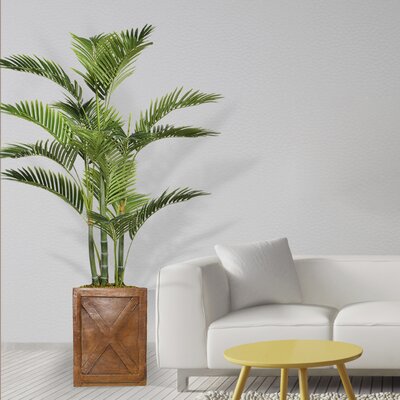 Floor Palm Tree in Planter - Wayfair | Havenly