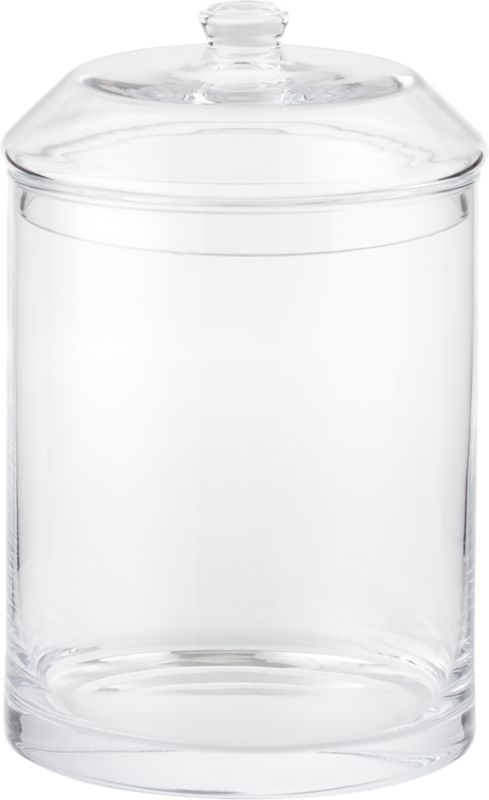 Snack Extra-Large Glass Canister by Jennifer Fisher + Reviews