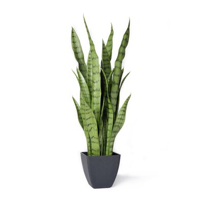Artificial Snake Plant Tall