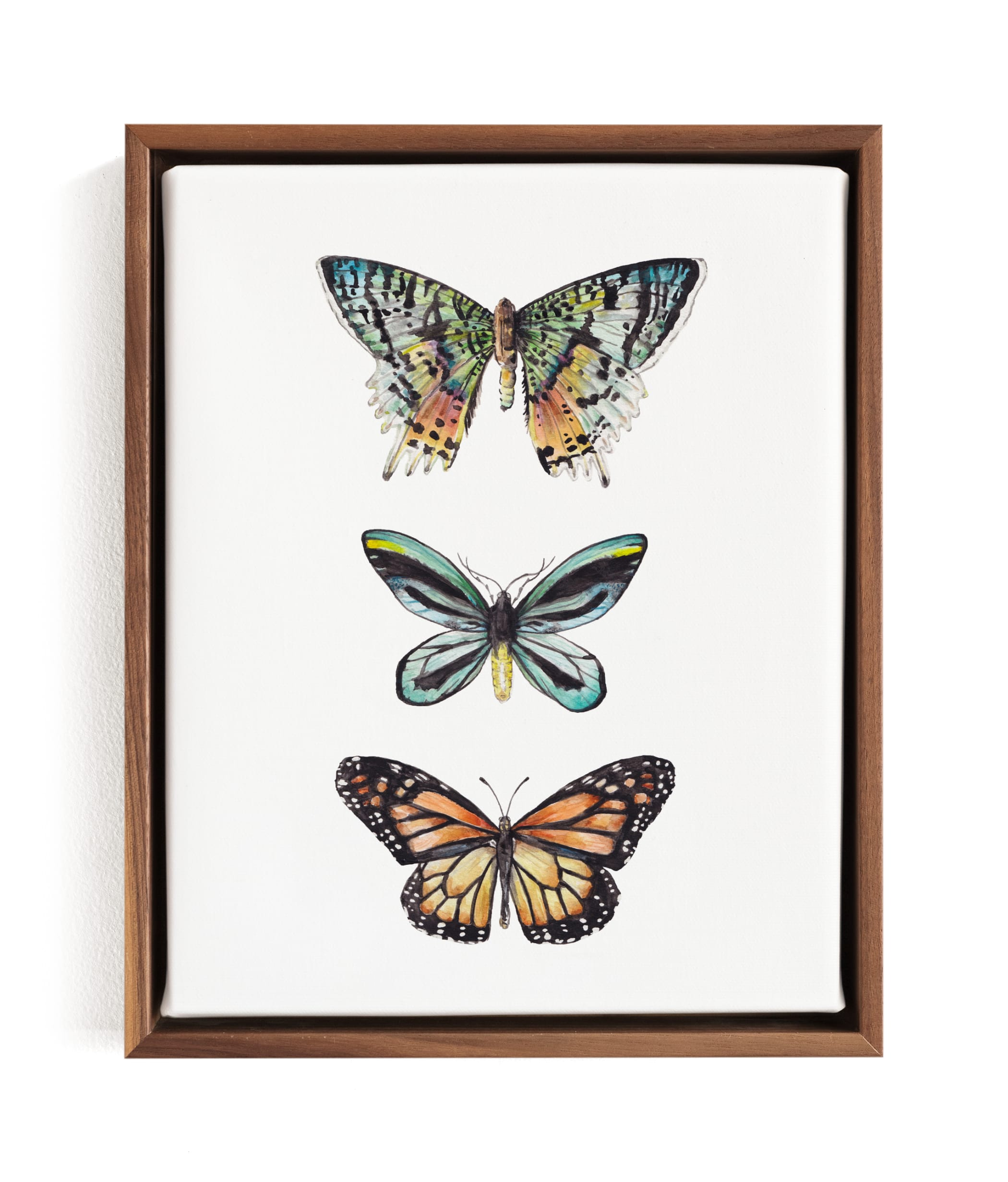 Butterfly Colorful Watercolors Children's Art Print - Minted | Havenly